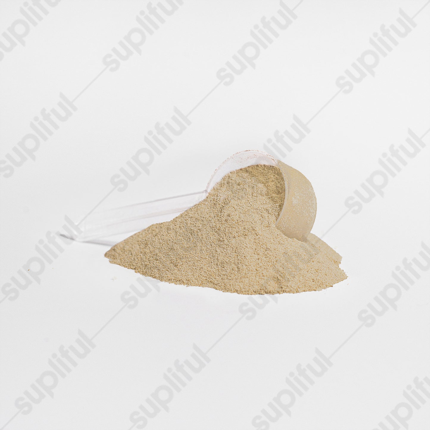 Whey Protein Isolate (Vanilla)